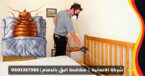 شركة مكافحة البق بالدمام